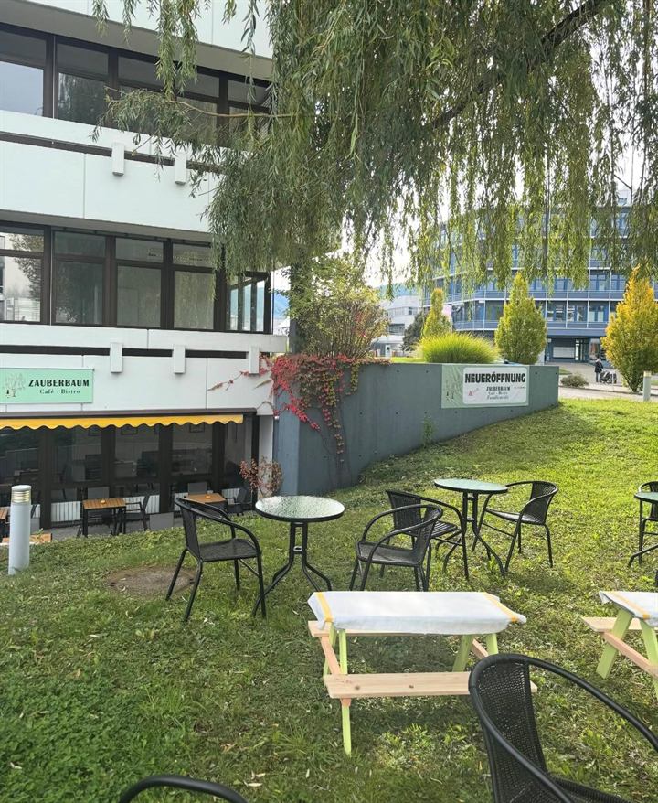 Außenbereich mit Wiese, Trauerweide und Sitzgelegenheiten am Familiencafé Zauberbaum